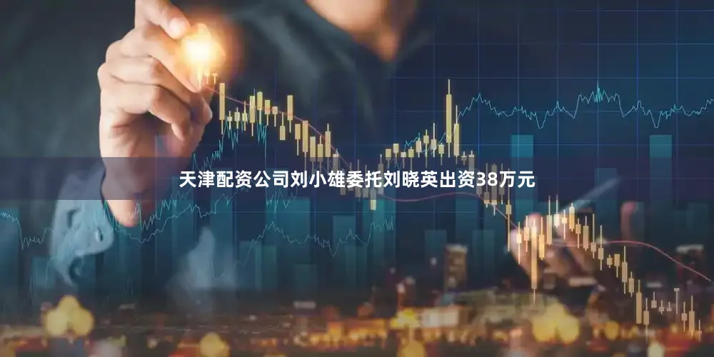 天津配资公司刘小雄委托刘晓英出资38万元