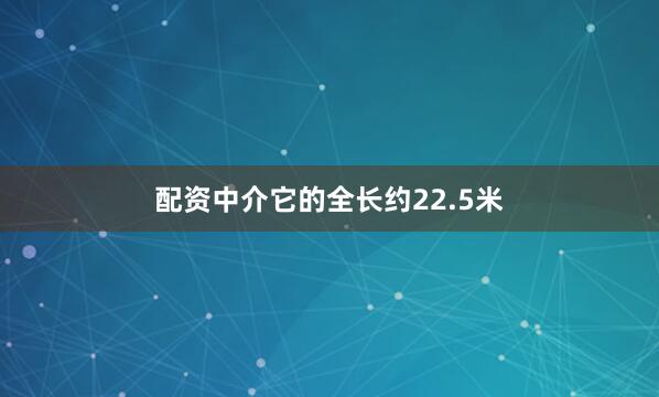 配资中介它的全长约22.5米