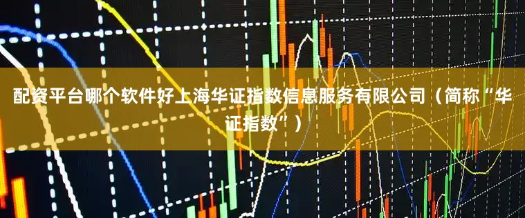 配资平台哪个软件好上海华证指数信息服务有限公司（简称“华证指数”）