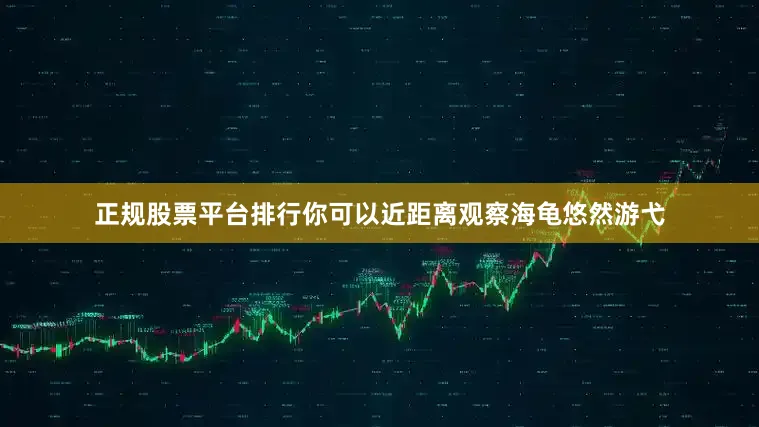正规股票平台排行你可以近距离观察海龟悠然游弋